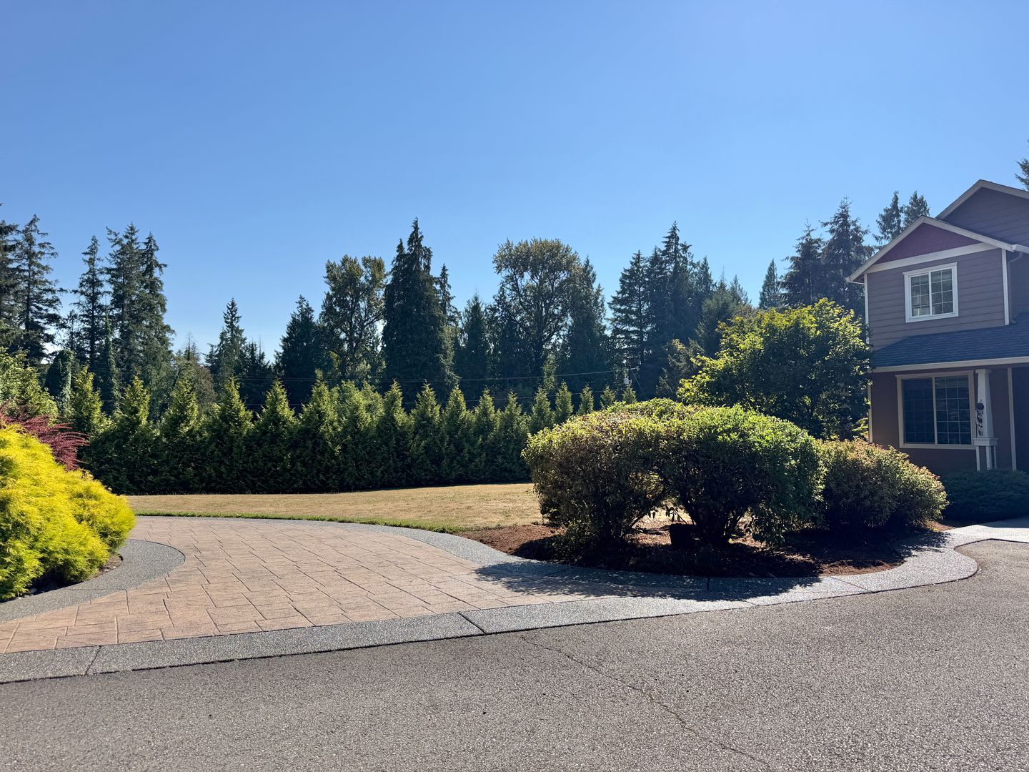 COMING SOON! Beautiful Gated 2.93 Acreage setting-Country Living, EZ access to 1-5 – photo 4
