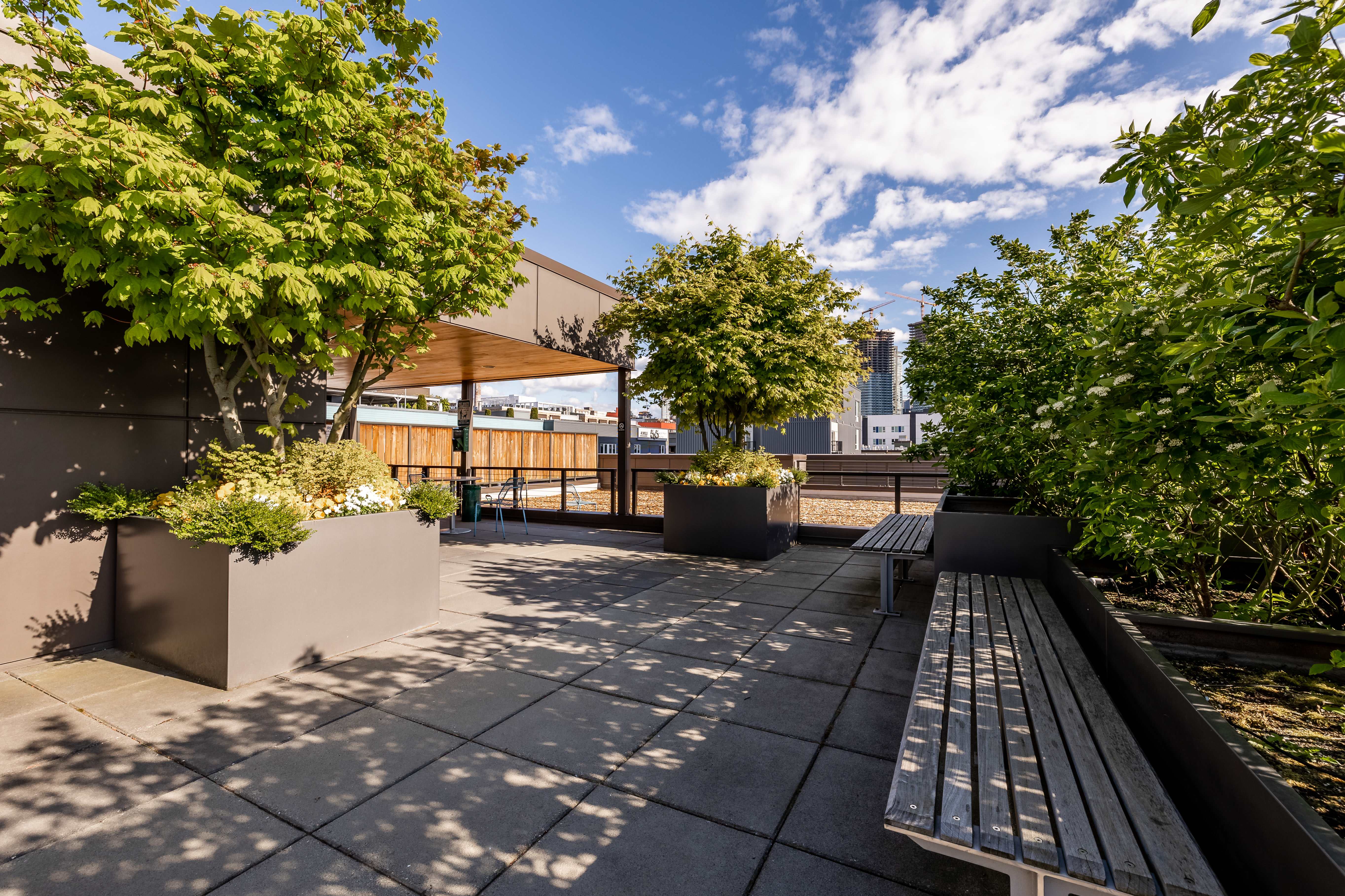 Rivet Apartment Homes – photo 3