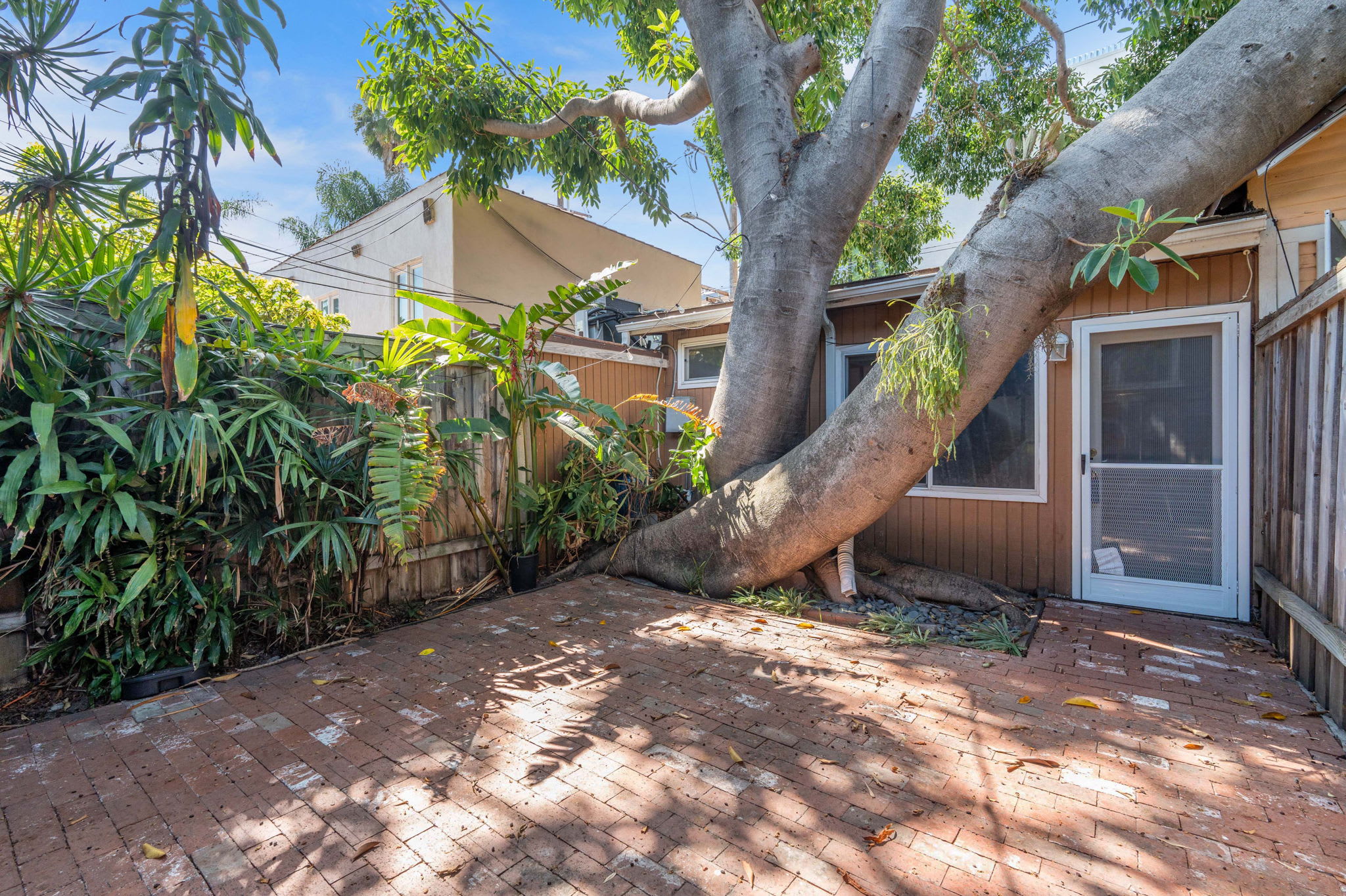 7618 Norton Avenue 2 – photo 4