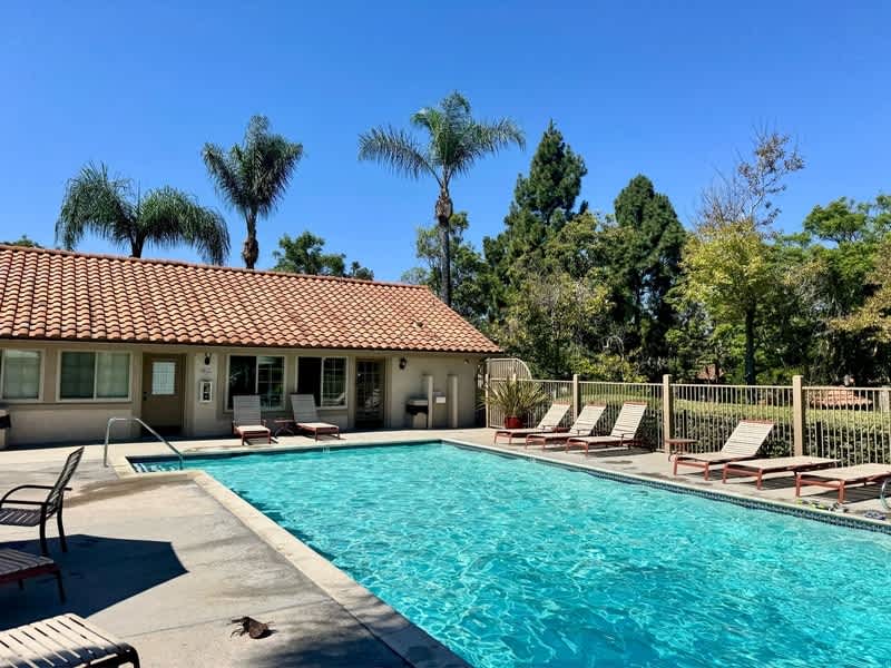 10305 Azuaga Street – photo 3