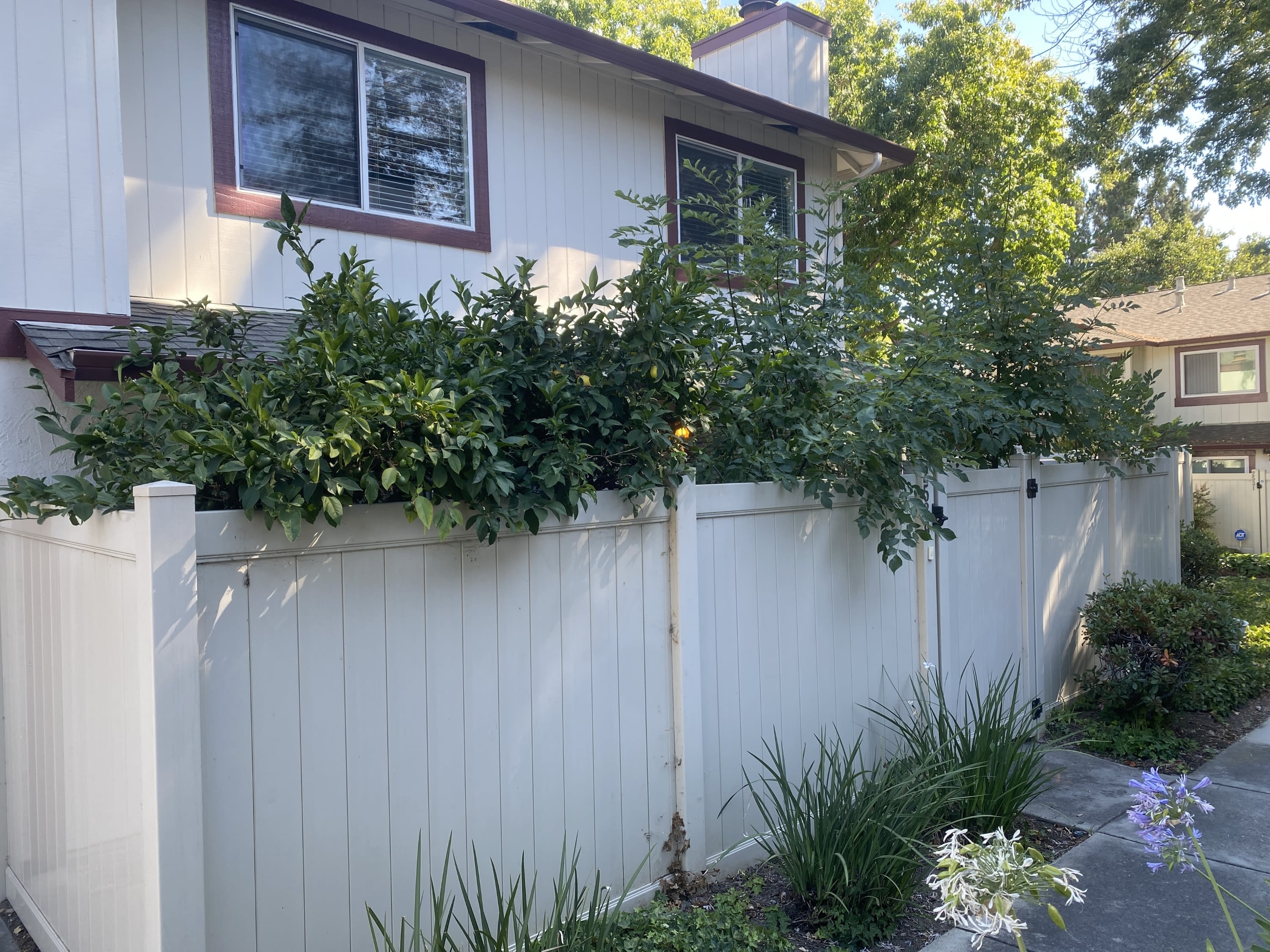2539 Blue Rock Court – photo 1