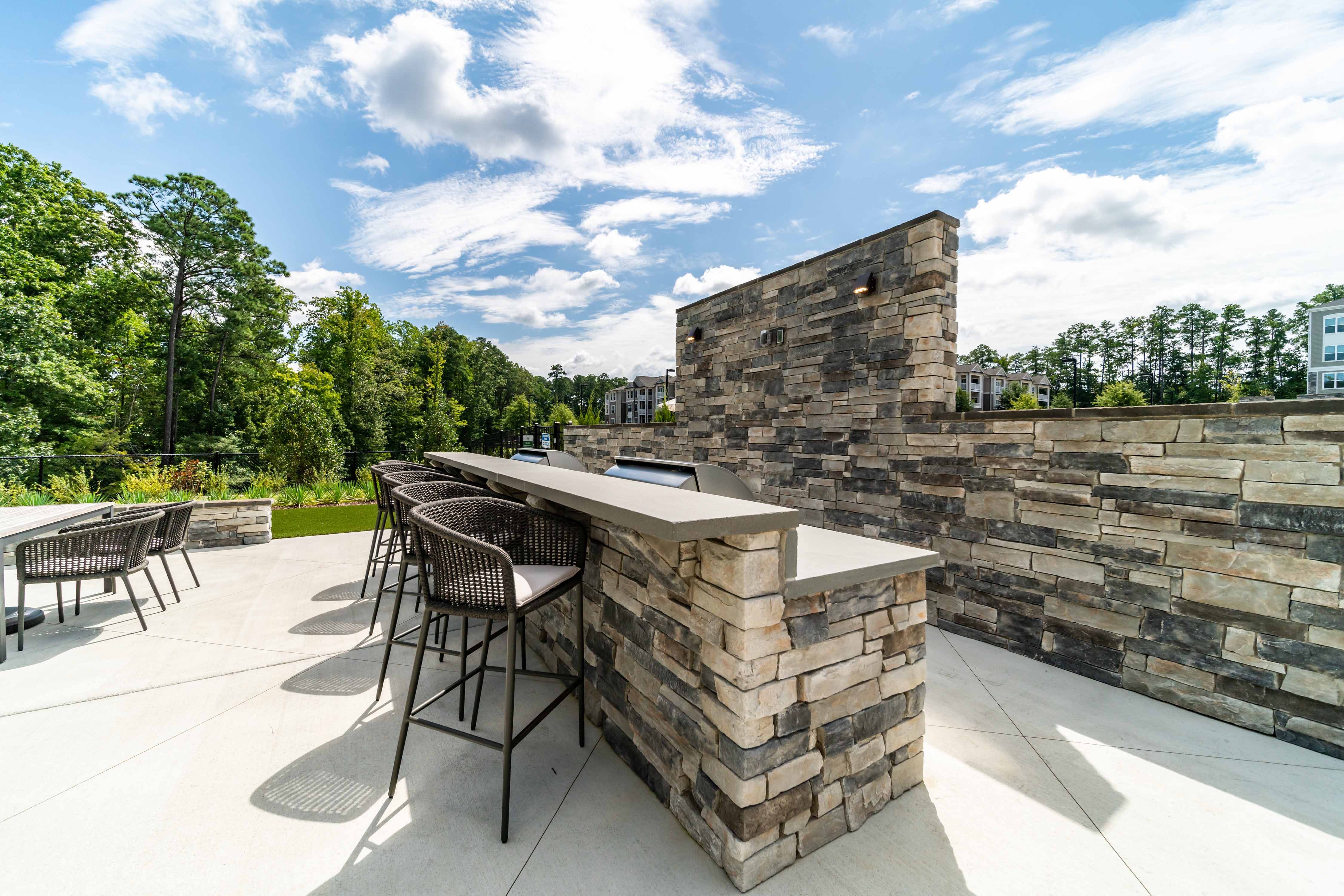 The Piedmont – photo 5
