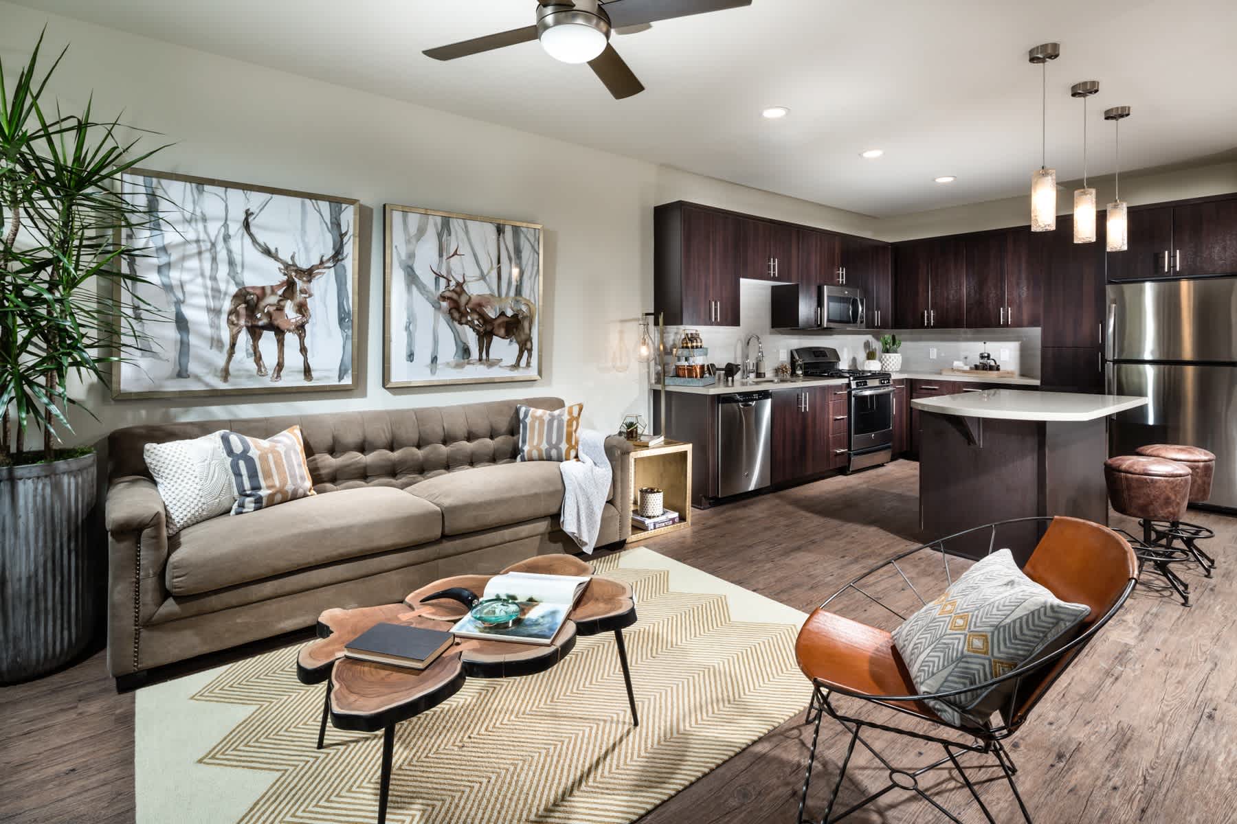 One11 Apartments – photo 1