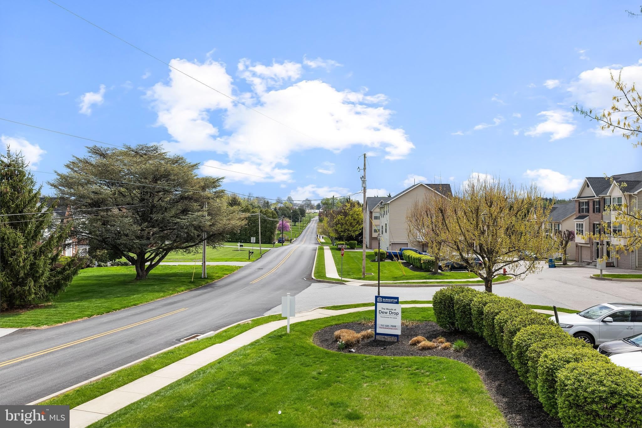 24 SHADY TREE Court – photo 2