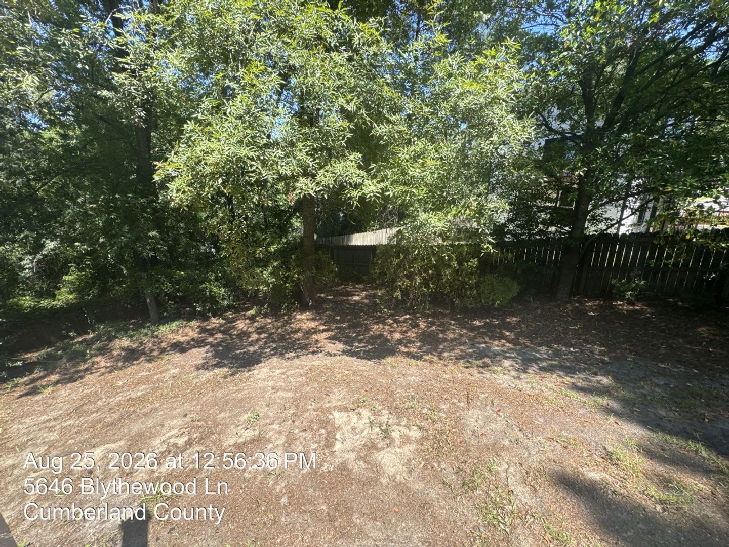 5646 Blythewood Lane – photo 4