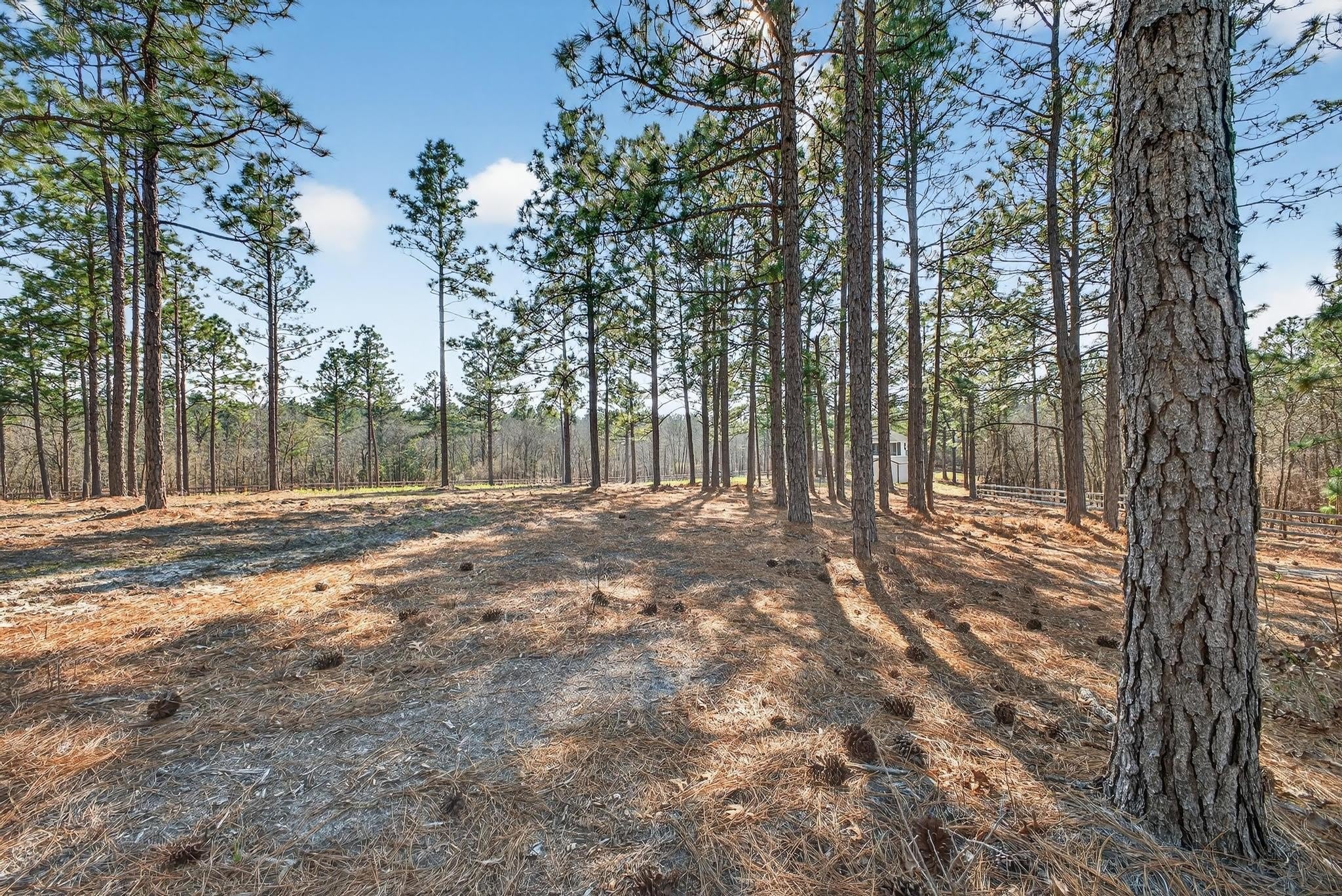 316 Cadle Crossing Road – photo 3