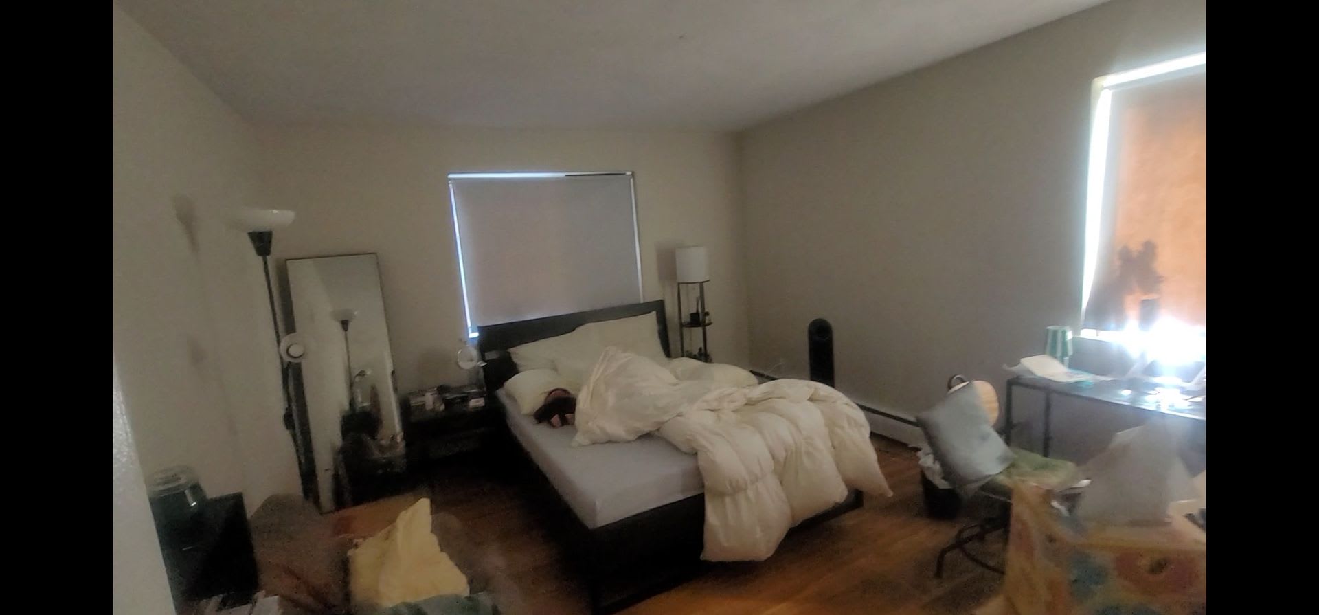 Fantastic Apt near BU and Packards Corner! $500 rebate with promo. HW Floors, Dishwasher – photo 4