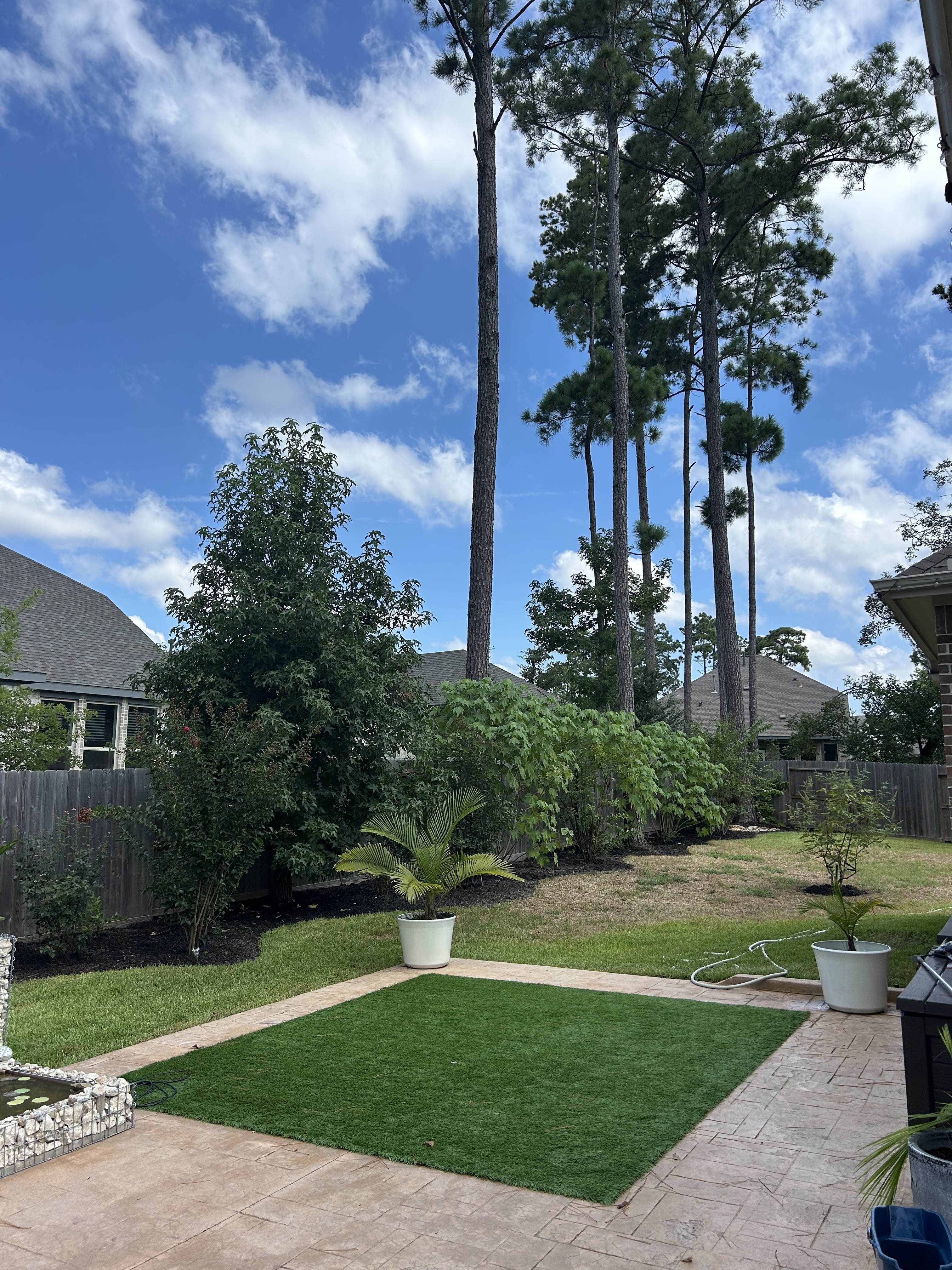 322 Fan Palm Ct – photo 5