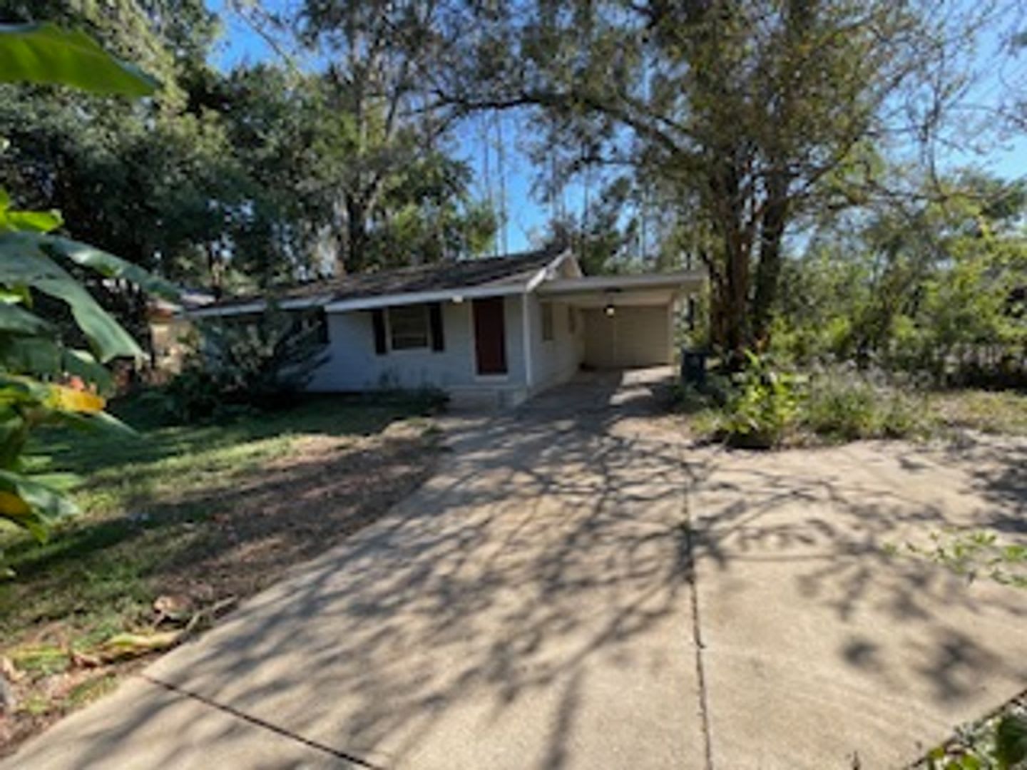 2053 Bellevue Way – photo 2