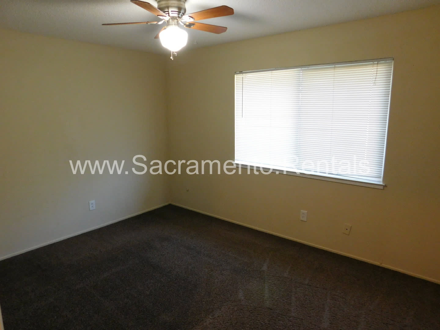 Updated 2bd/1ba Lincoln Village Duplex with Garage – photo 5