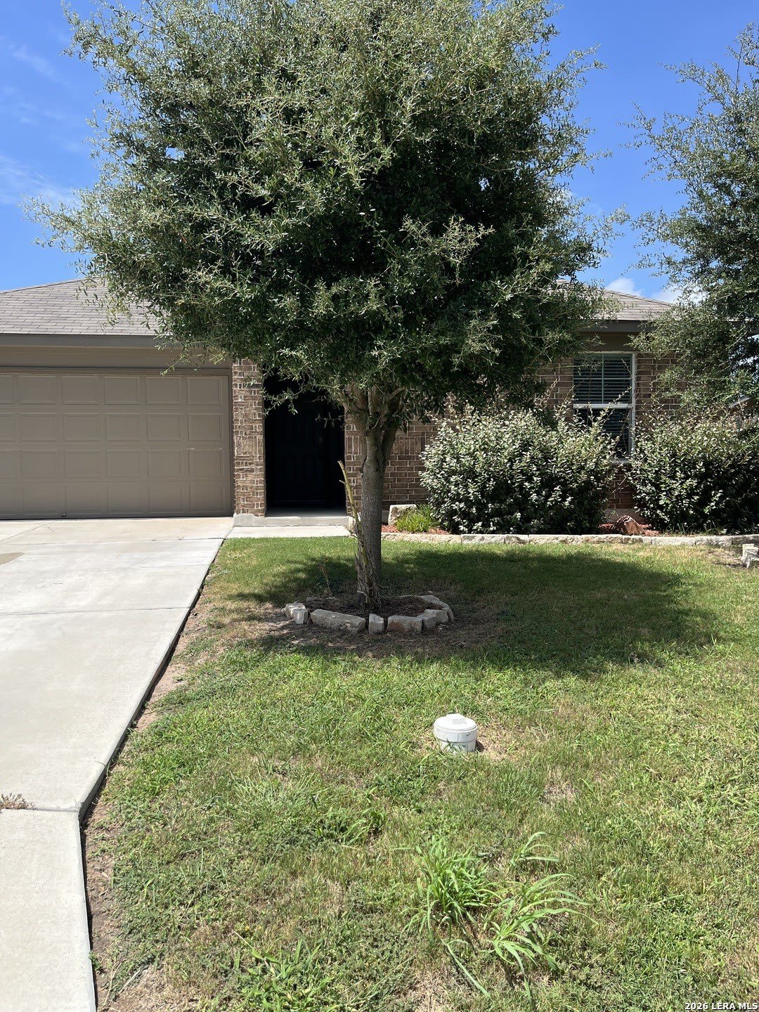 2118 Silver Maple – photo 1