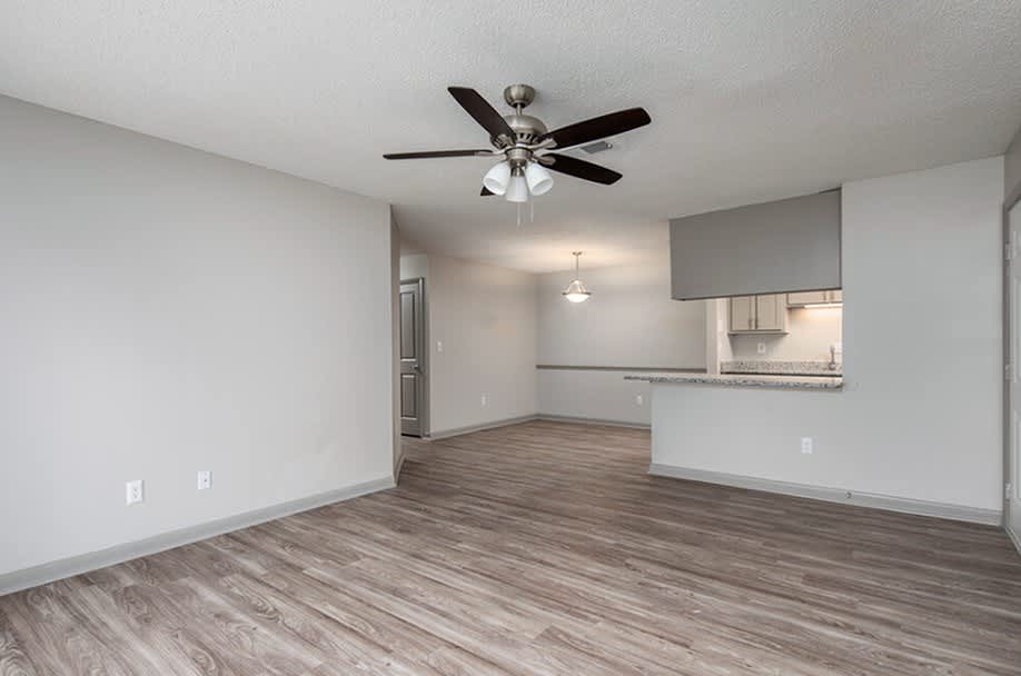 Magnolia Pointe At Madison – photo 3