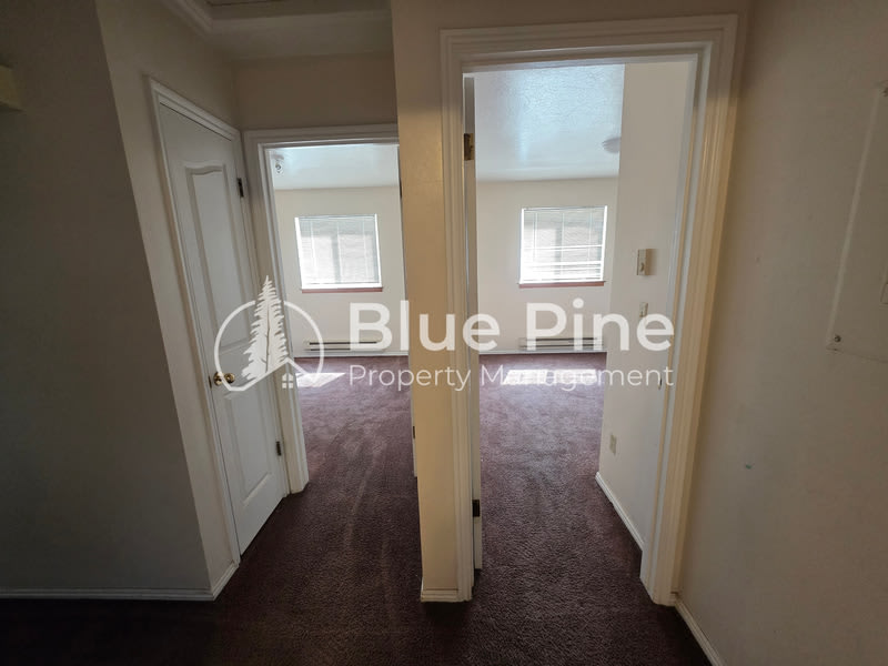 2137 Meppen Drive – photo 4