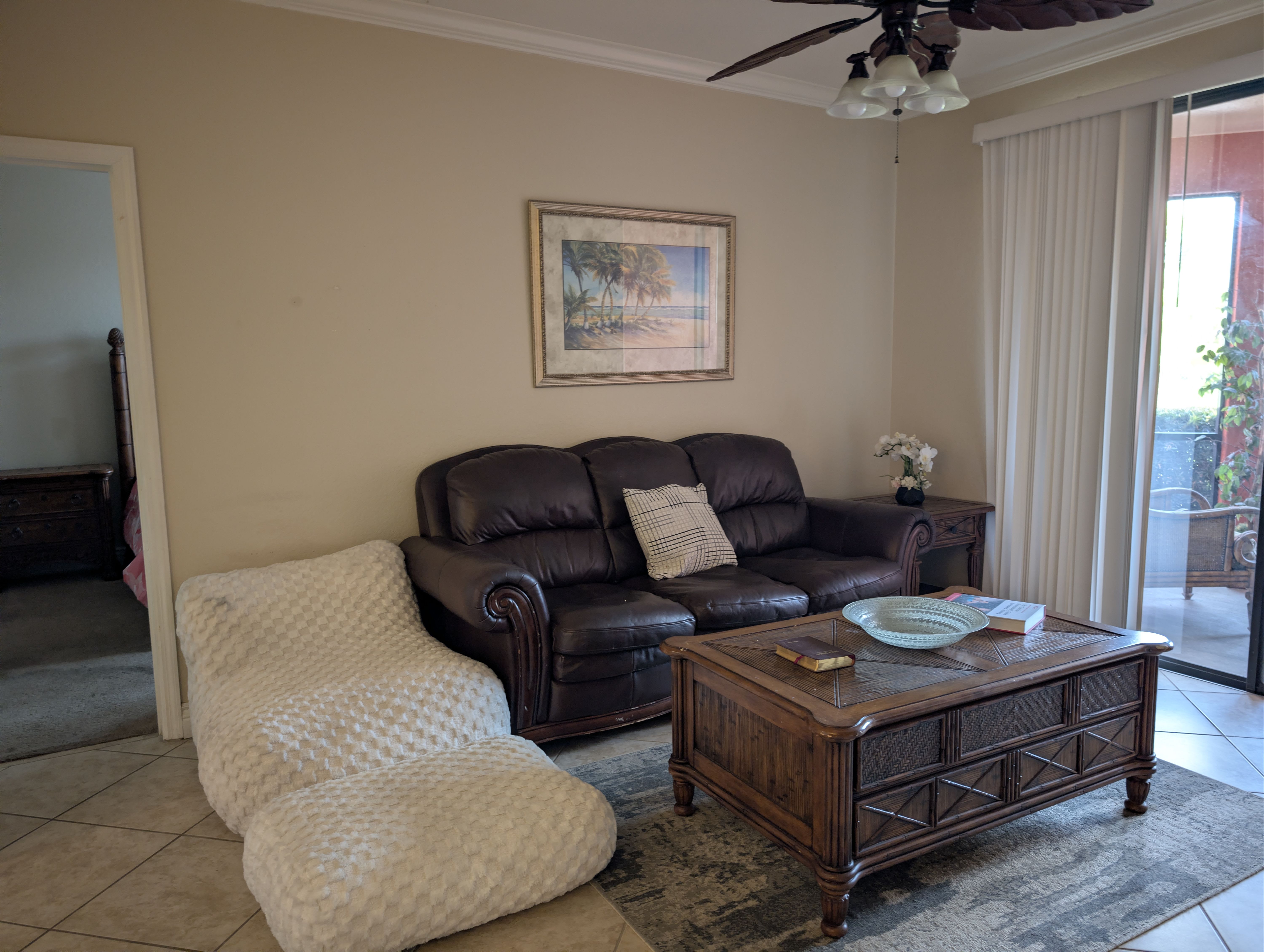 2731 Via Capri Unit 917 – photo 5