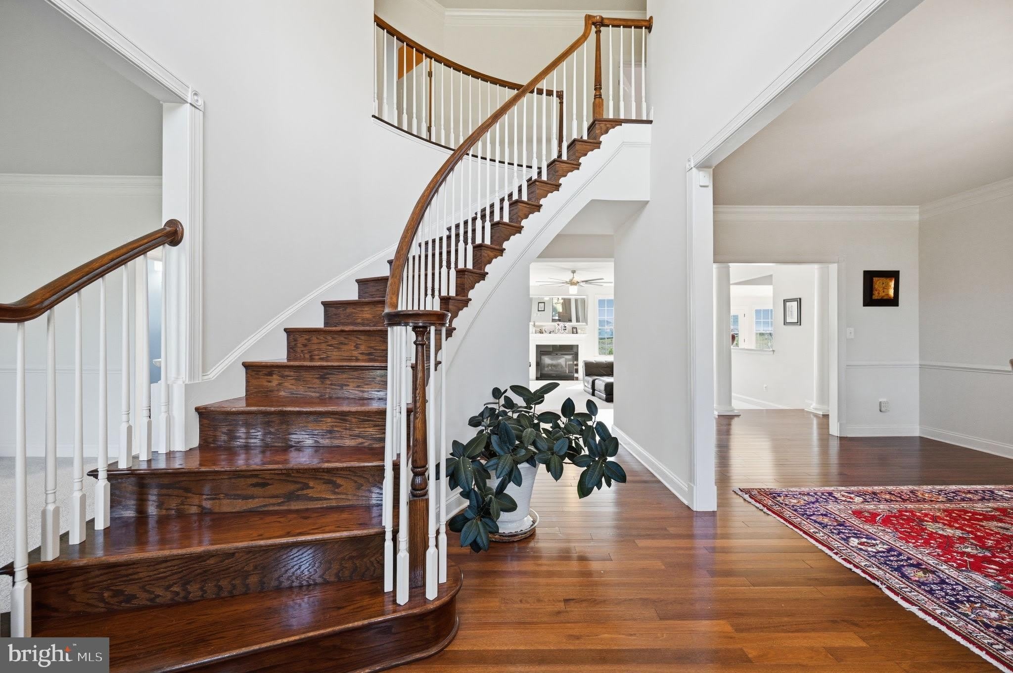 23222 HEMMINGFORD Circle – photo 4