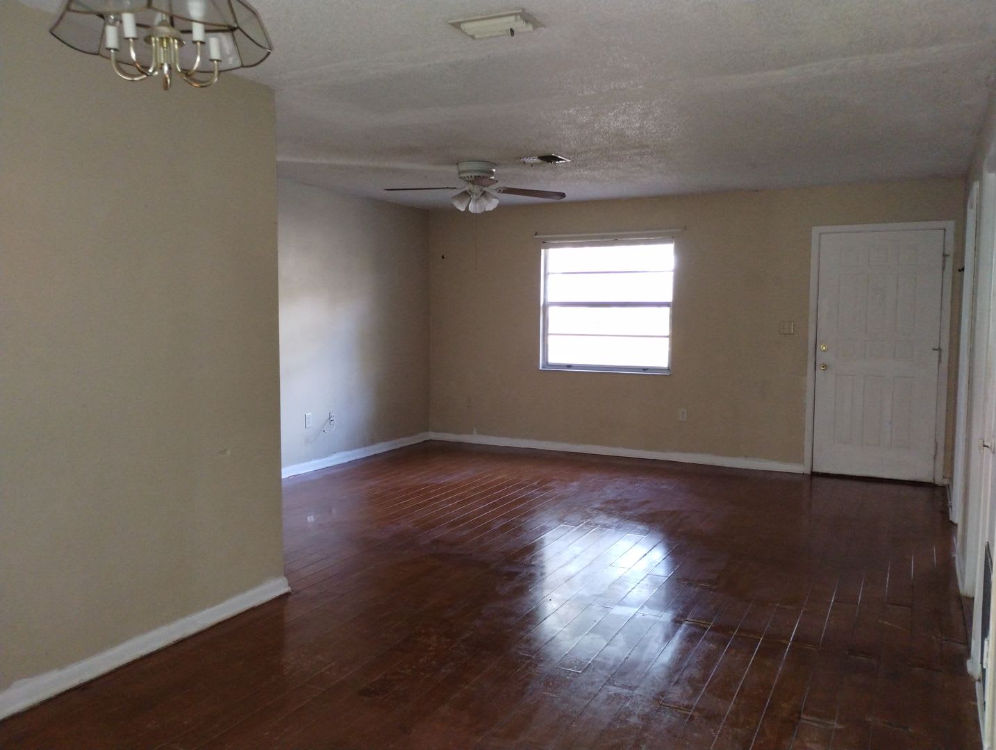 2 Bedroom 2 Bathroom Rental Brooksville Fl – photo 4