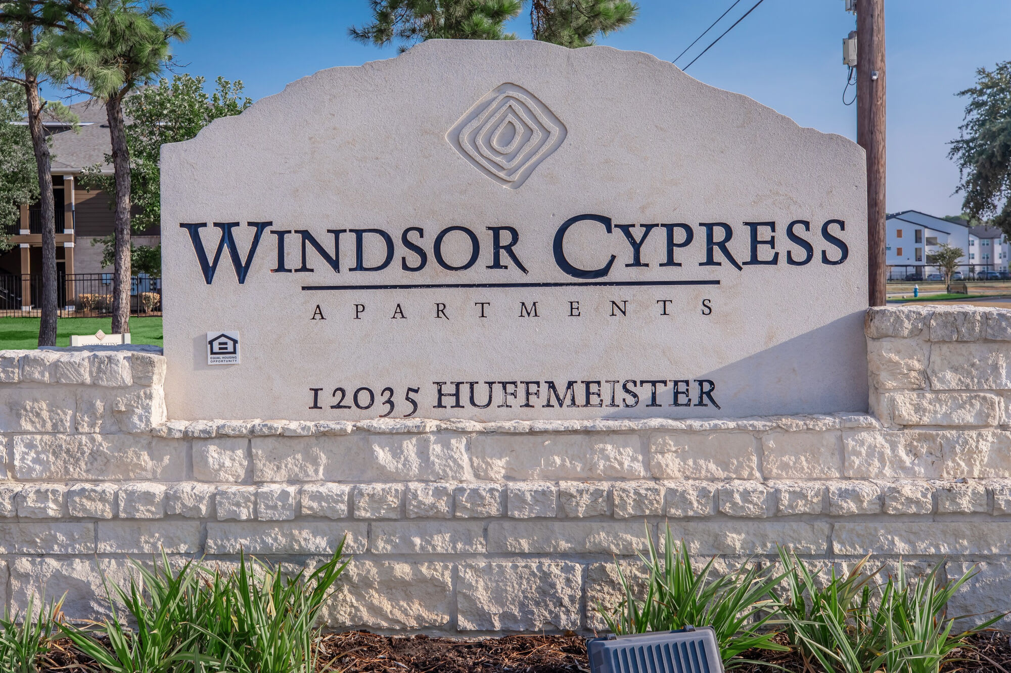 Windsor Cypress – photo 5