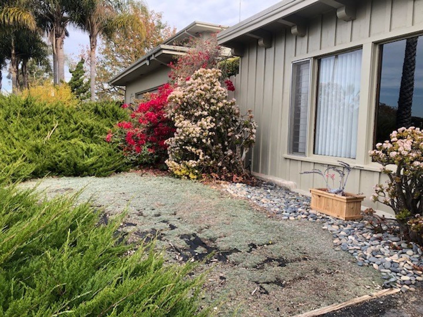 Tranquil Encinitas Studio Retreat – photo 2
