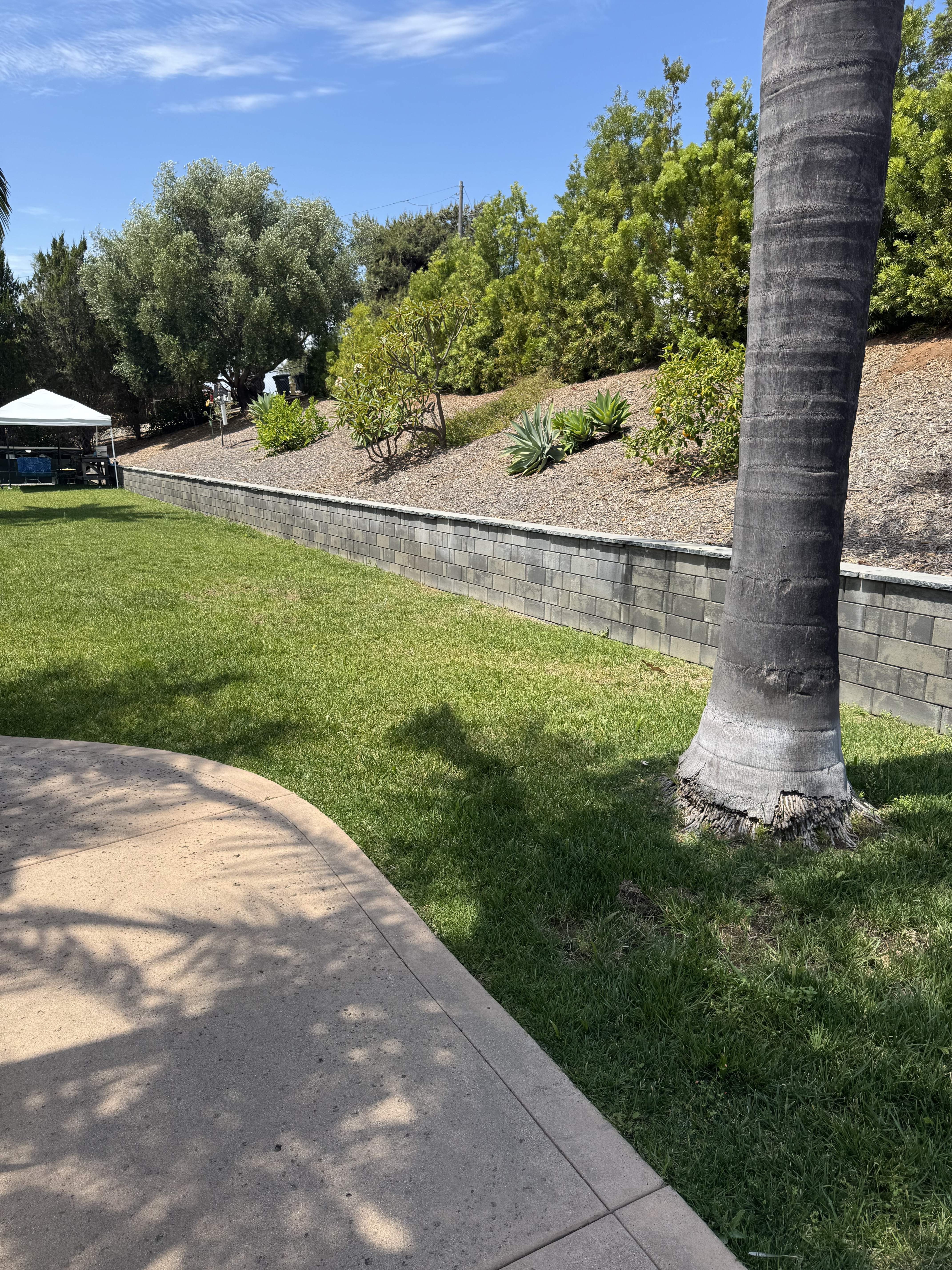 308 Mason Rd – photo 1