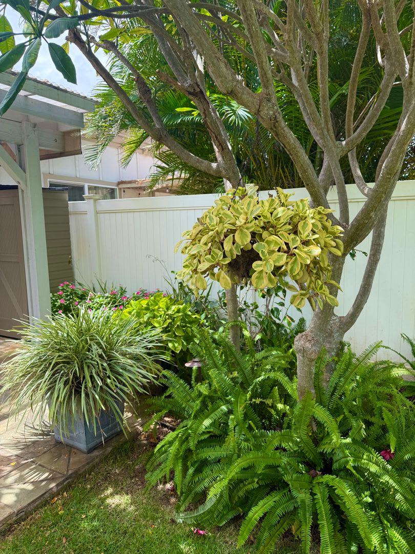 Welcome home to Kehalani Gardens – photo 2