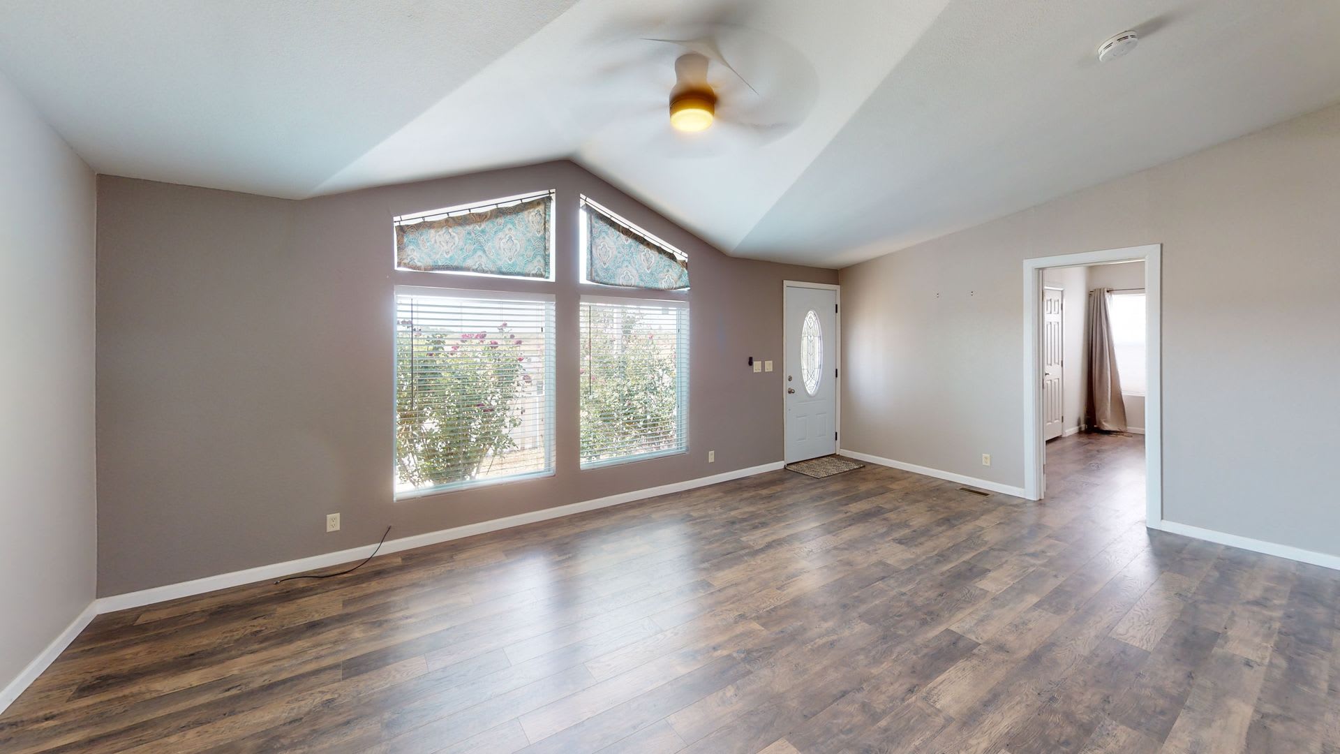 2505 Silver Dollar Loop – photo 2