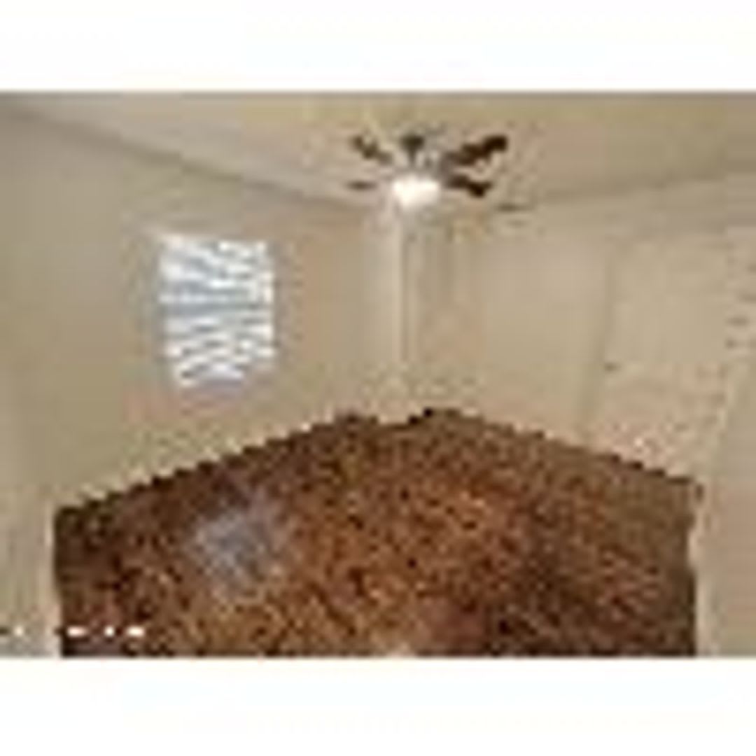 2555 Myra Street – photo 2
