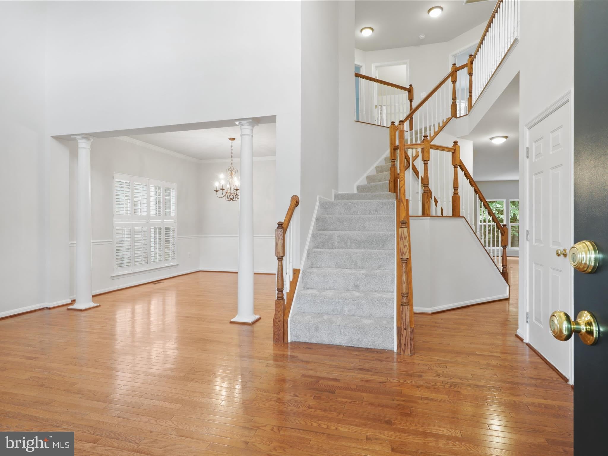 14203 MURPHY Terrace – photo 5