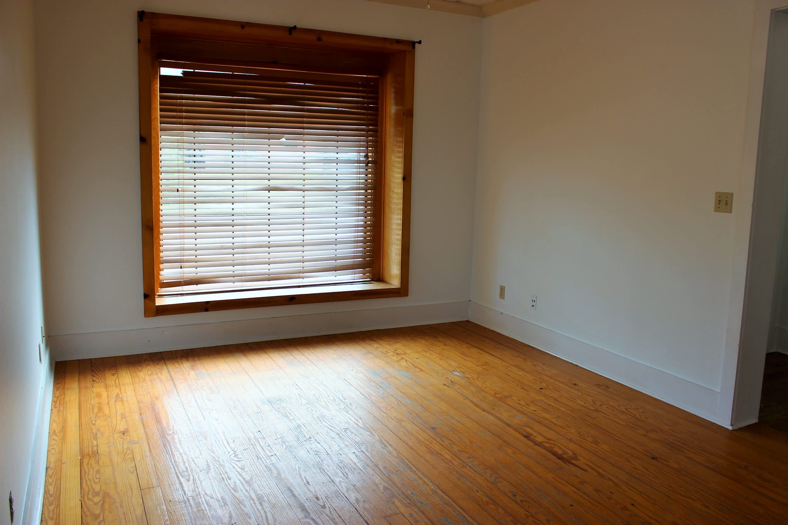 1003 East Alamo Street – photo 4