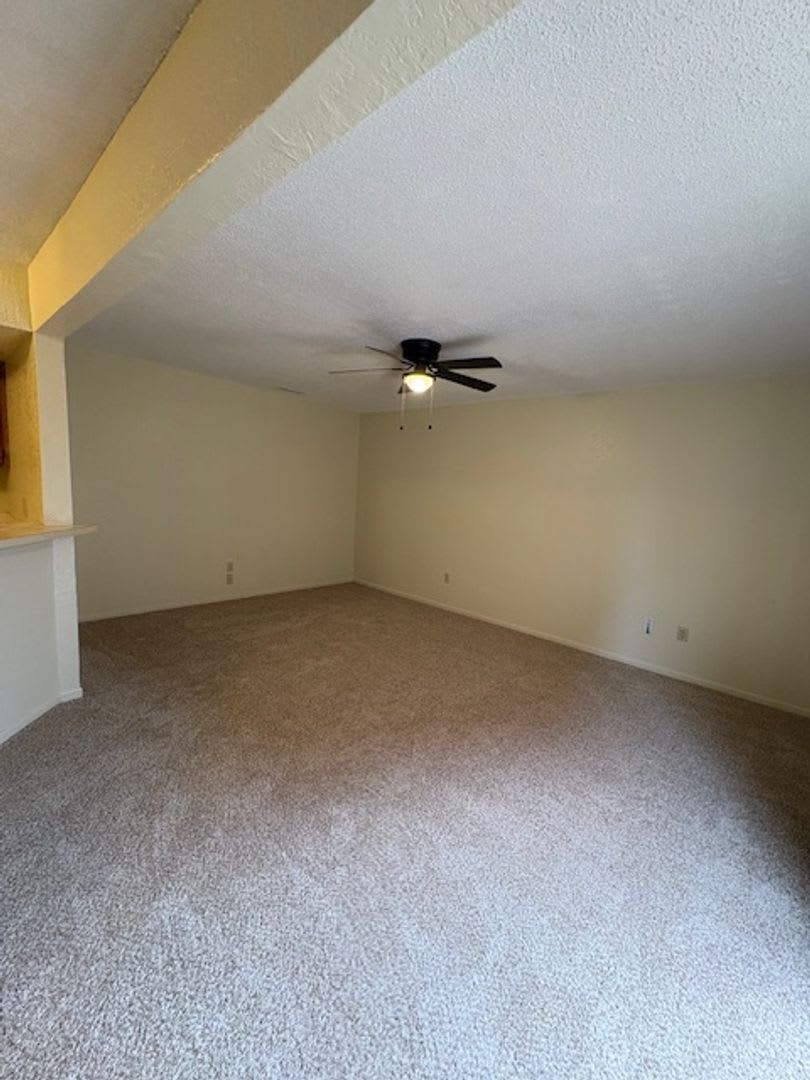 909 Bruce Way – photo 5