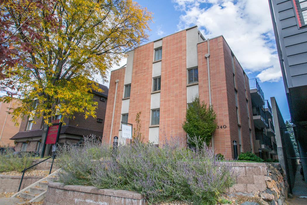 South University – photo 2