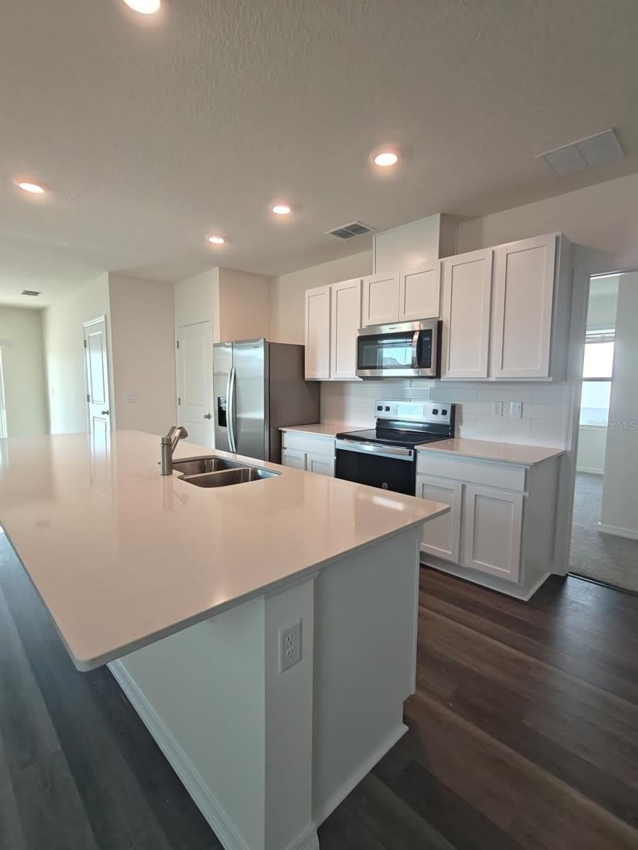 5266 SCRUB MINT Lane – photo 4