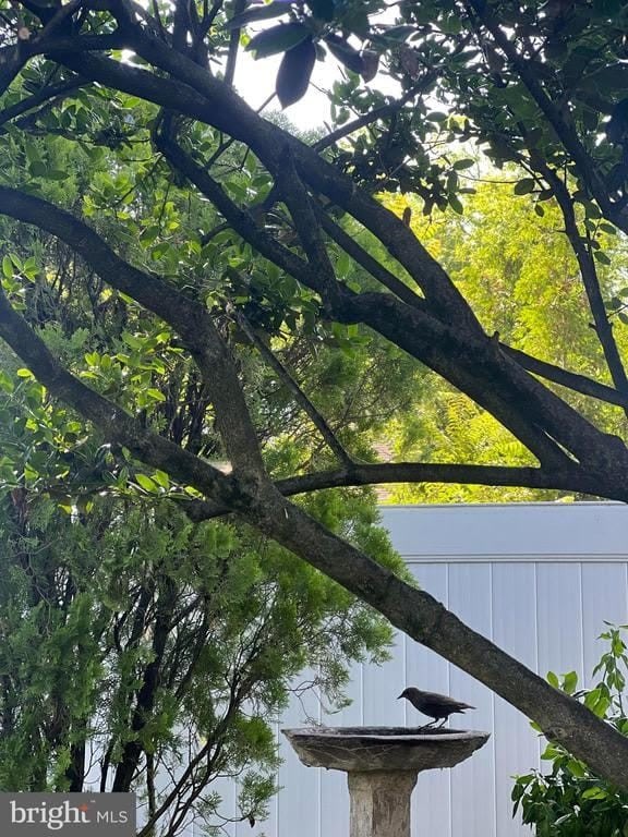 19 SNOWDEN AVENUE – photo 5