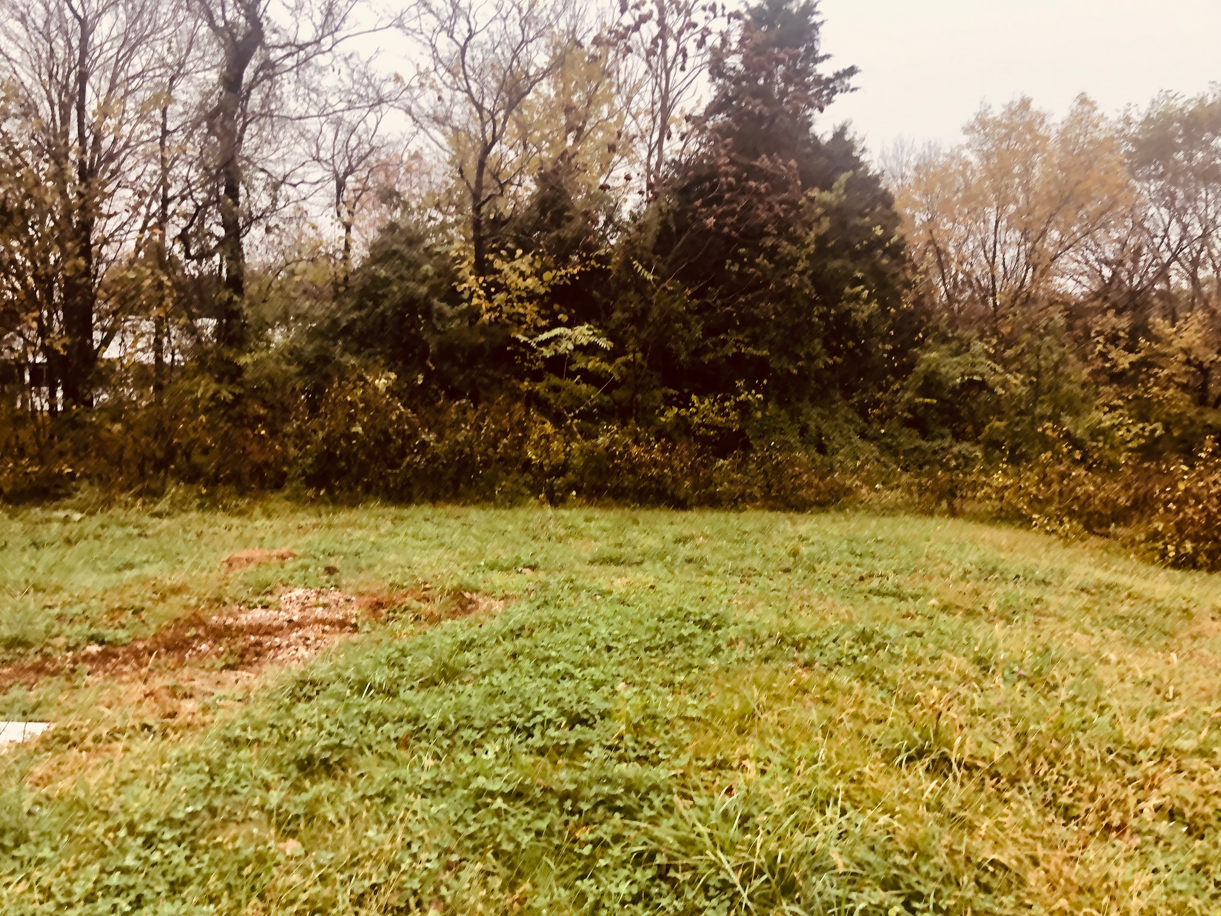 10053 Eagle Rd – photo 2
