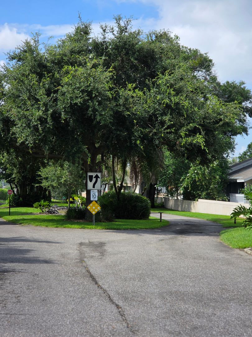 Altamonte Springs 3- Condo – photo 3