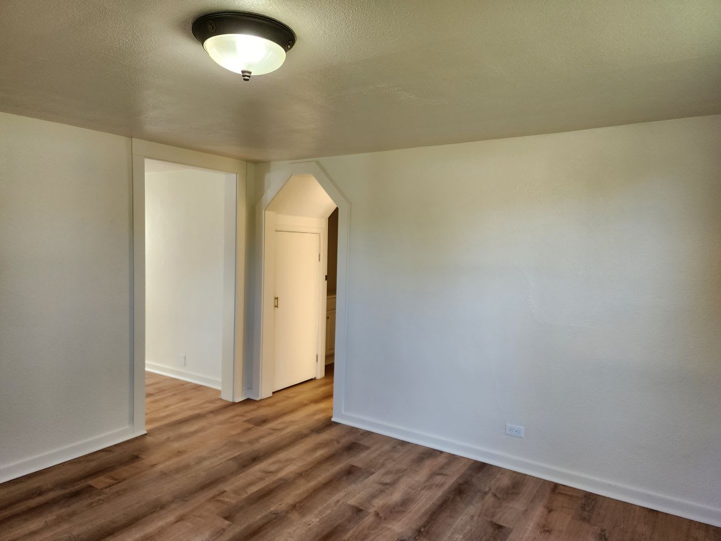 Newly Remodeled Springfield Home – photo 3