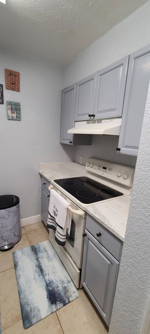 Charming 1Br Condo In Tampa – photo 2