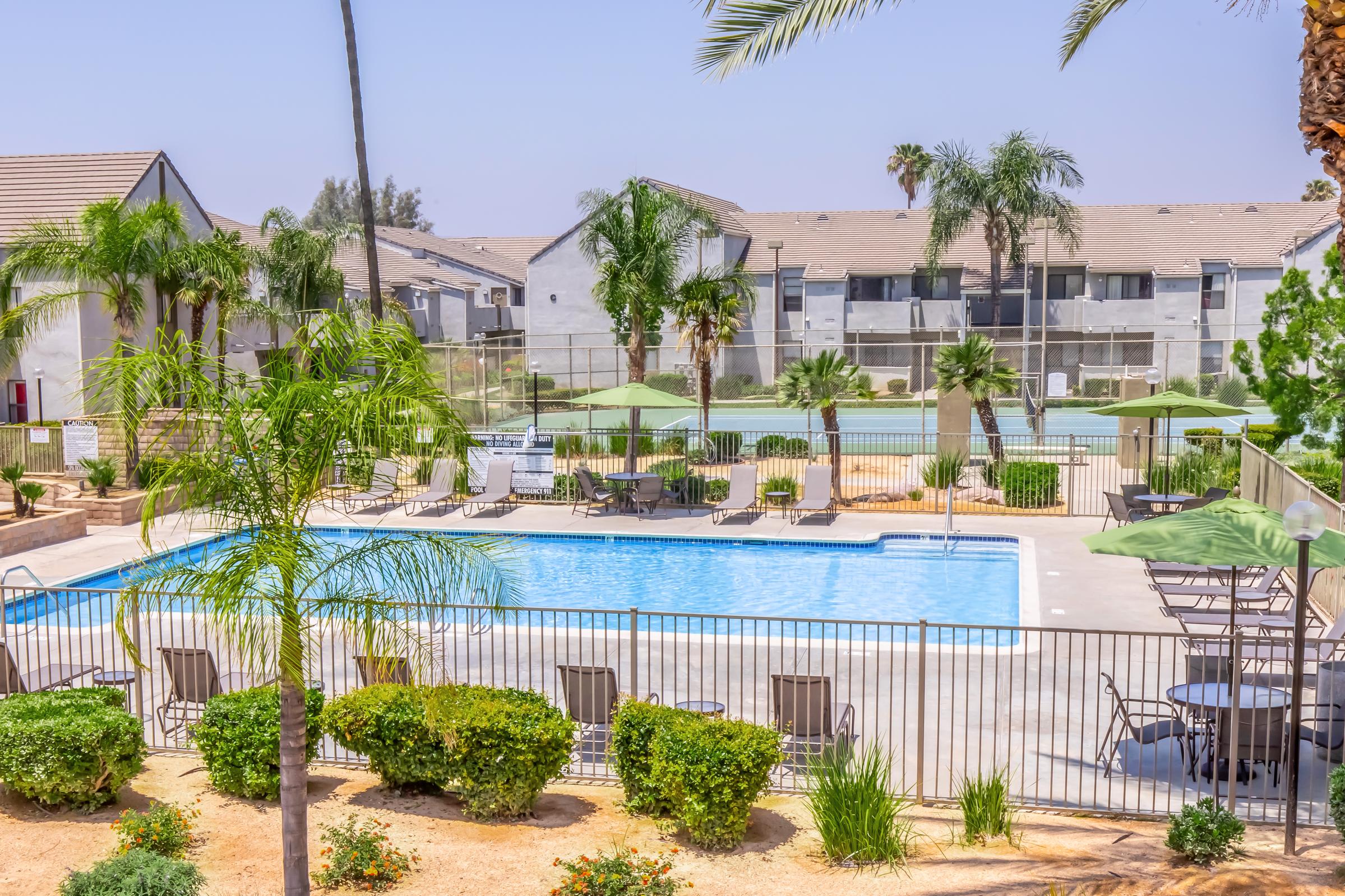 Palm Court Apartment Homes – photo 4