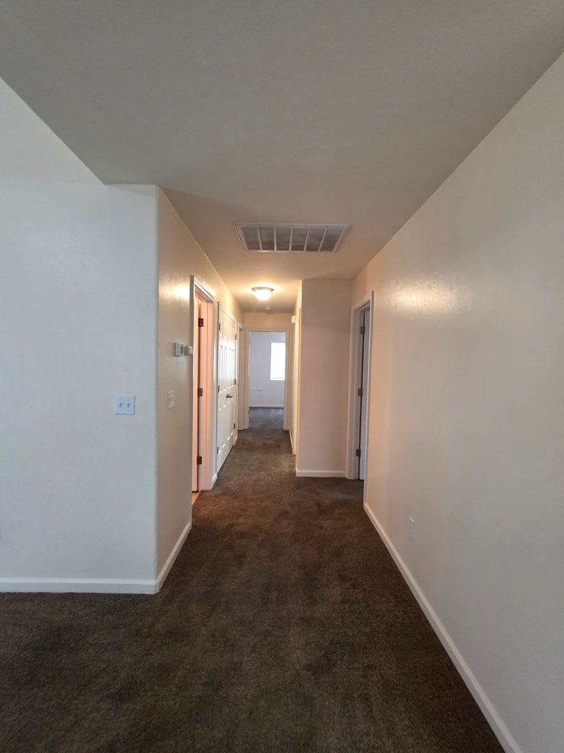11805 Holabird Ave House – photo 5