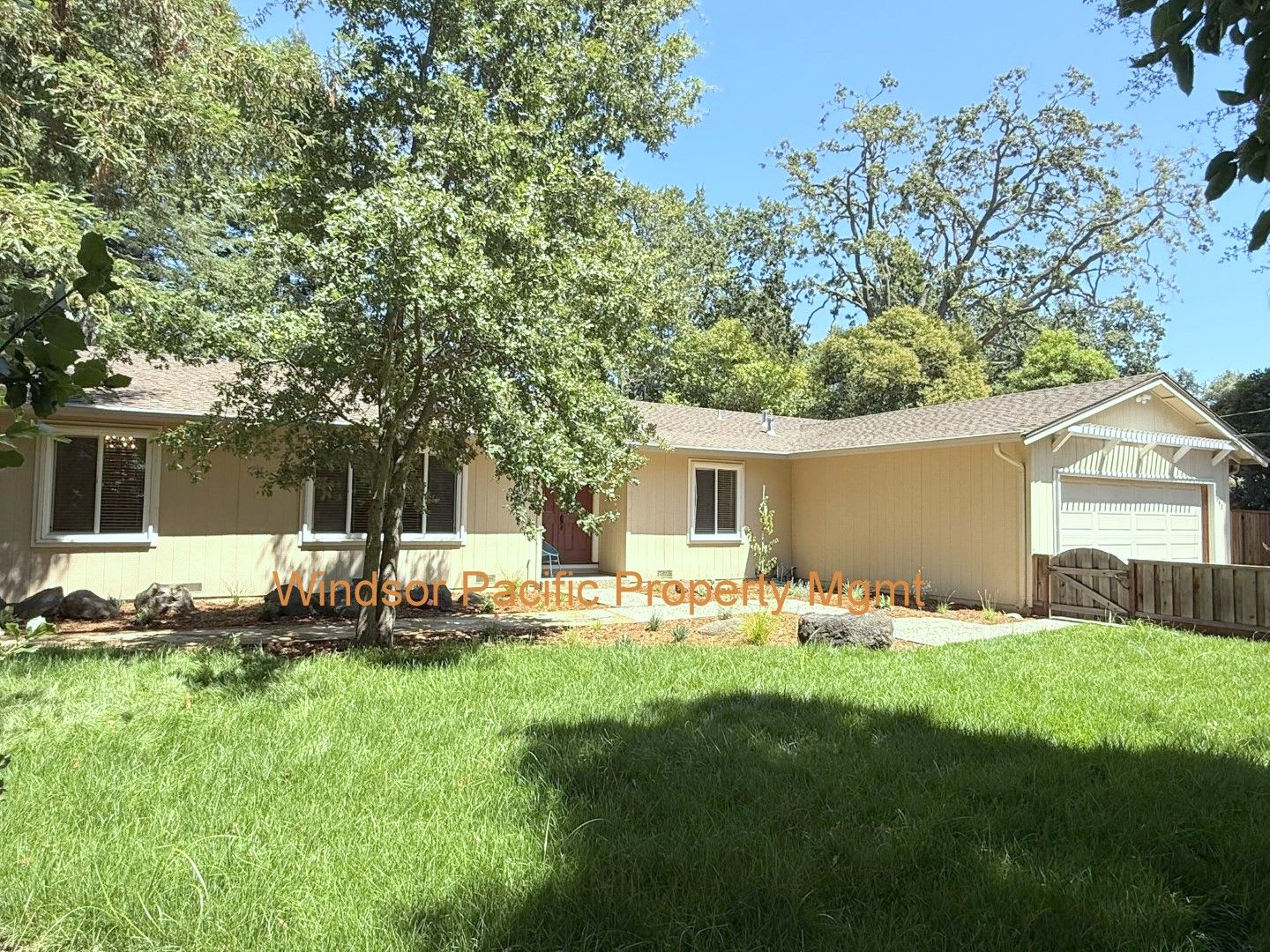 Remodeled one story home in highly desirable Alamo with huge park like yard! – photo 2