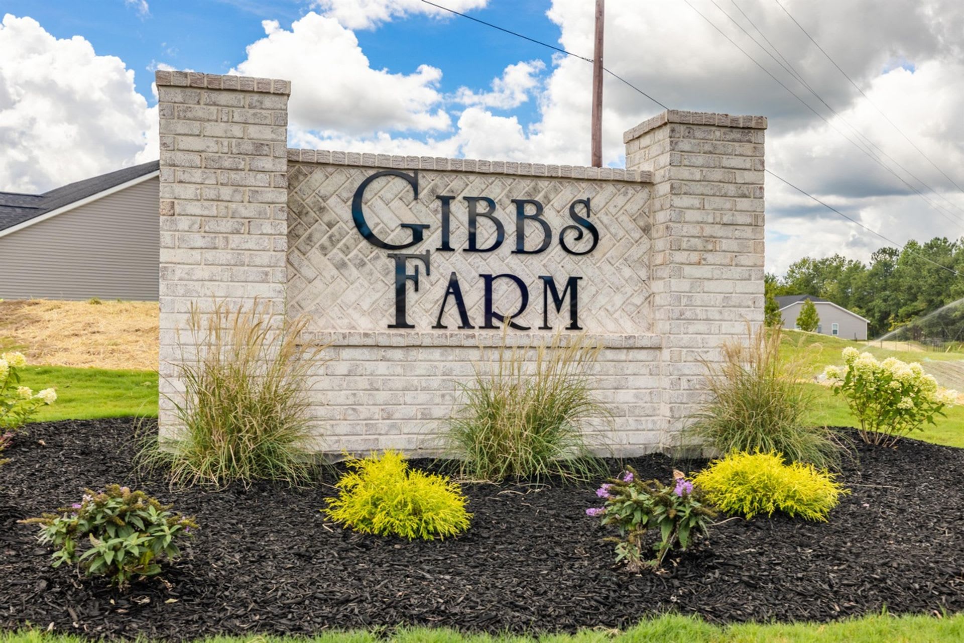 Gibbs Farm Townhomes – photo 3