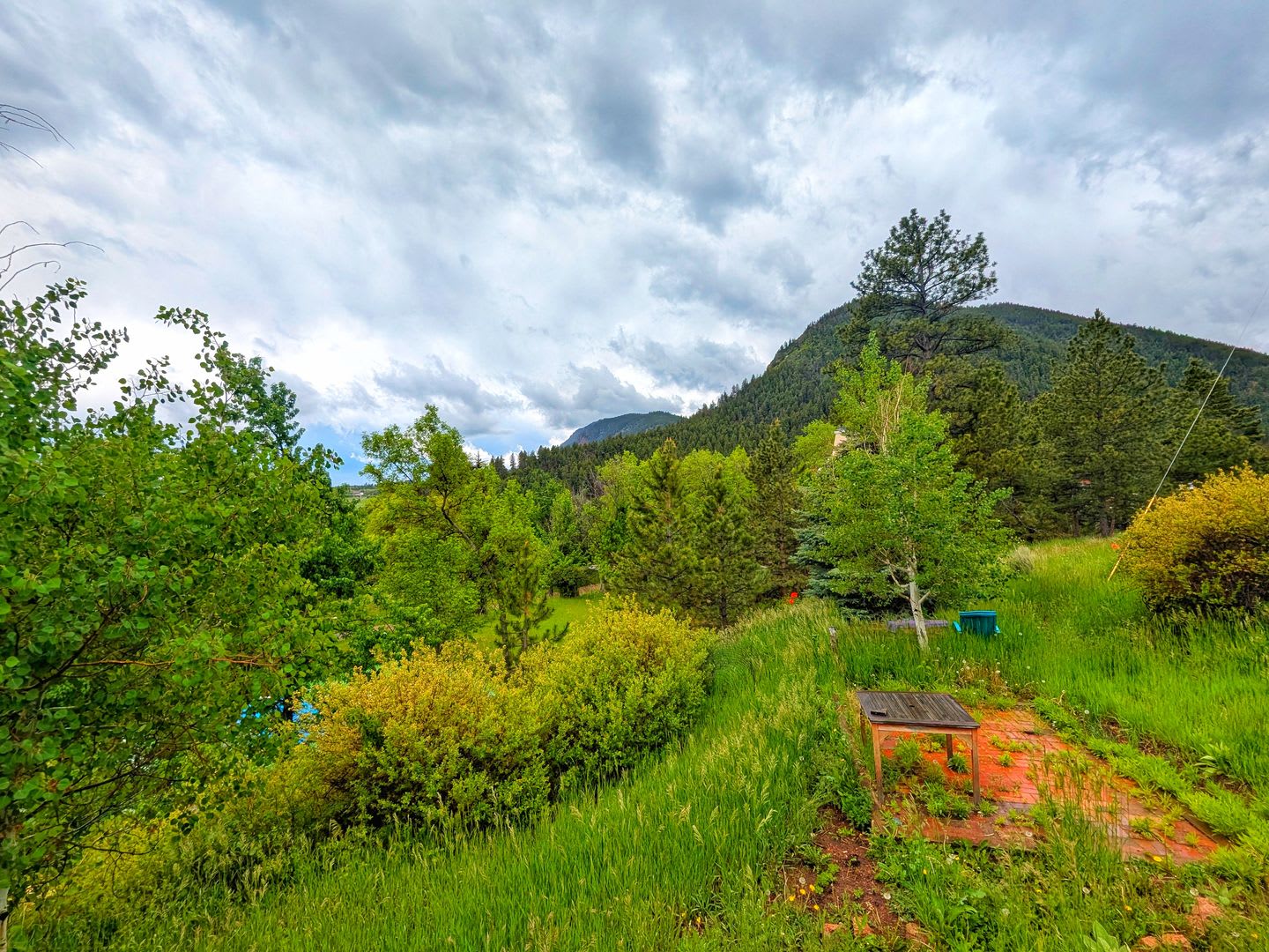 Fully Remodled Cabin In Palmer Lake With Amazing Views – photo 4
