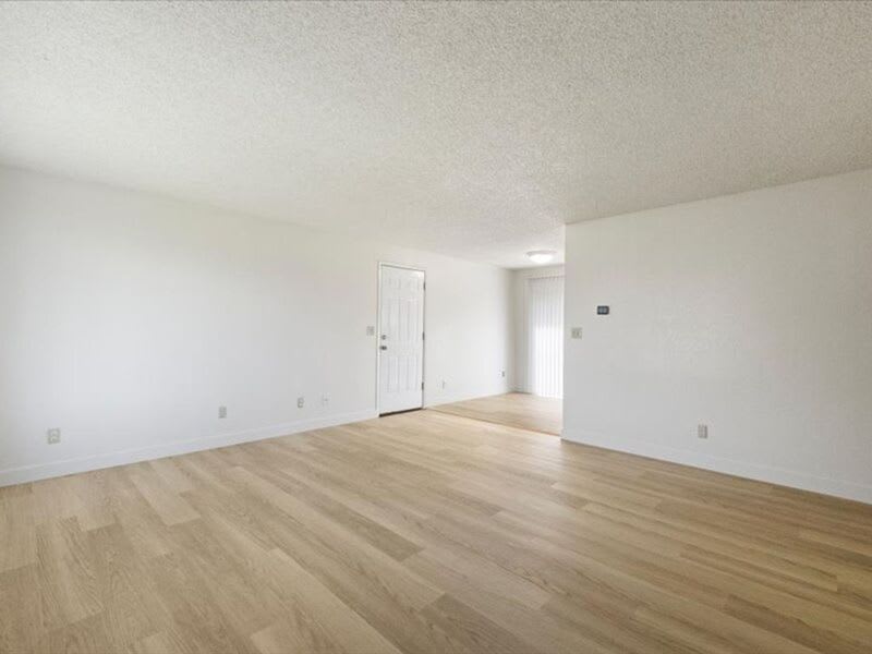4911 Dove Lane – photo 3