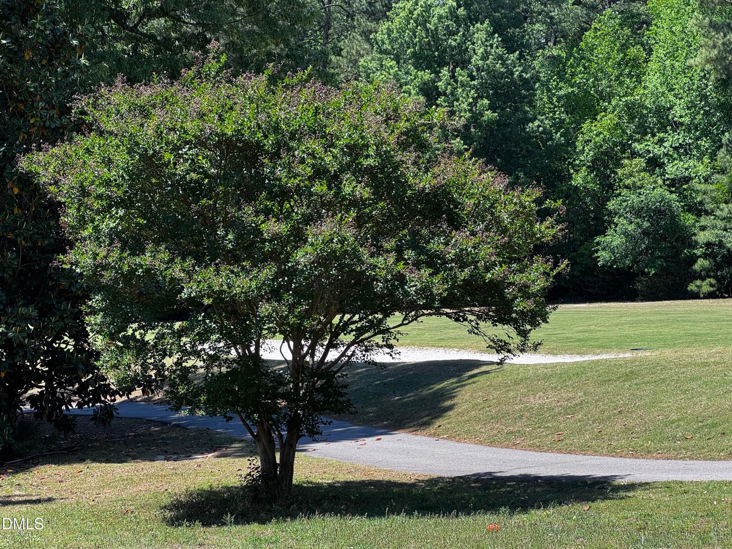 2212 Persimmon Ridge Drive – photo 4