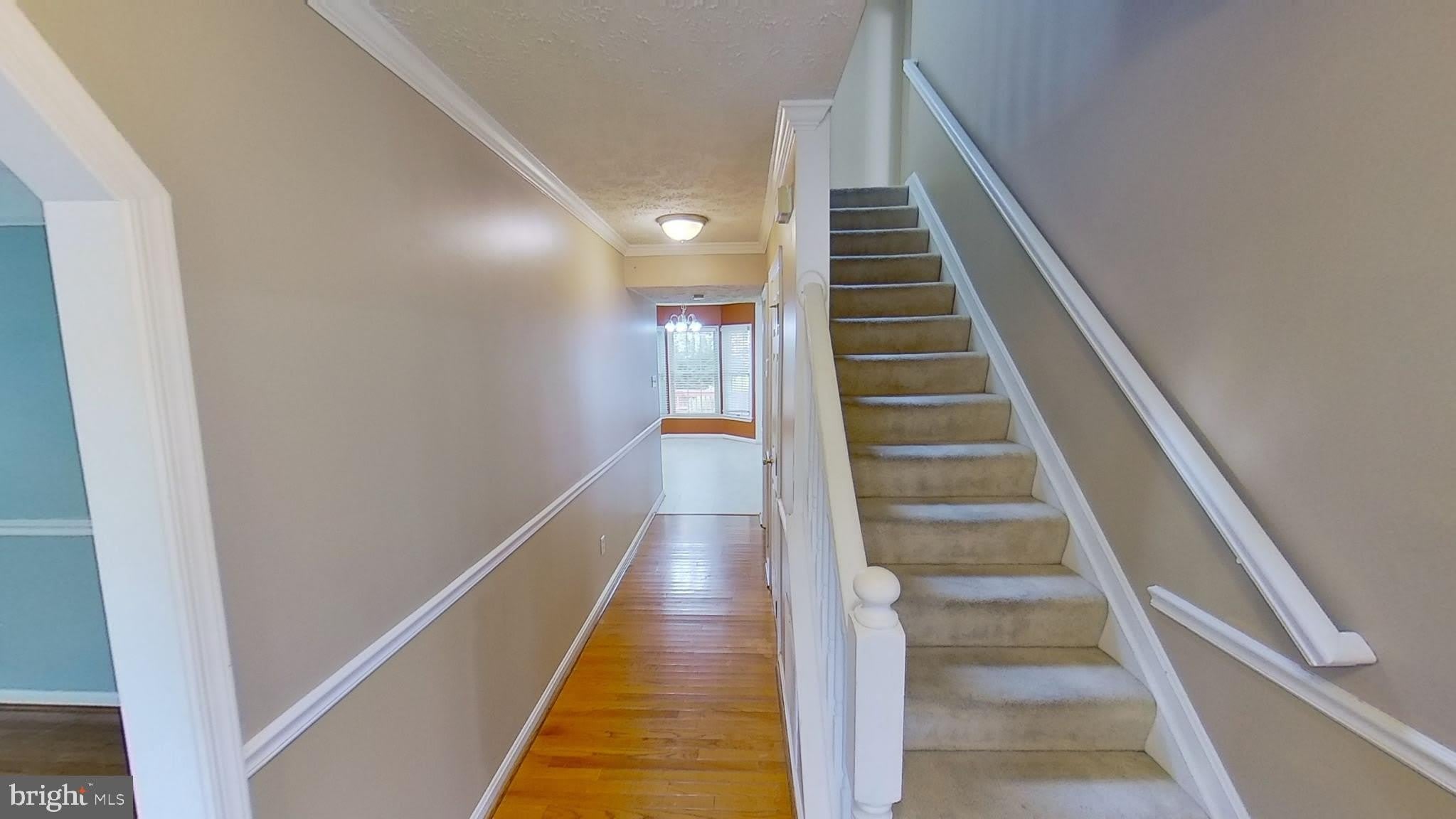 5911 Herring Court – photo 5