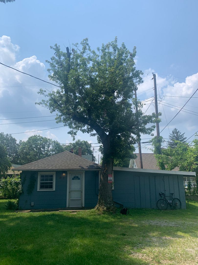 712.5 East Cottage Grove Avenue – photo 2