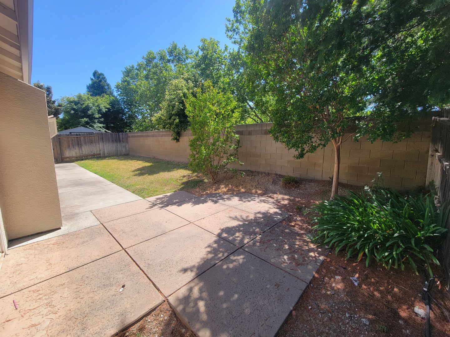 Pre Rent Today Beautiful 3 Bed 2 Bath Elk Grove – photo 3
