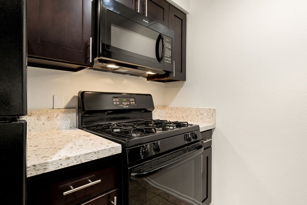 Topanga Terrace – photo 4