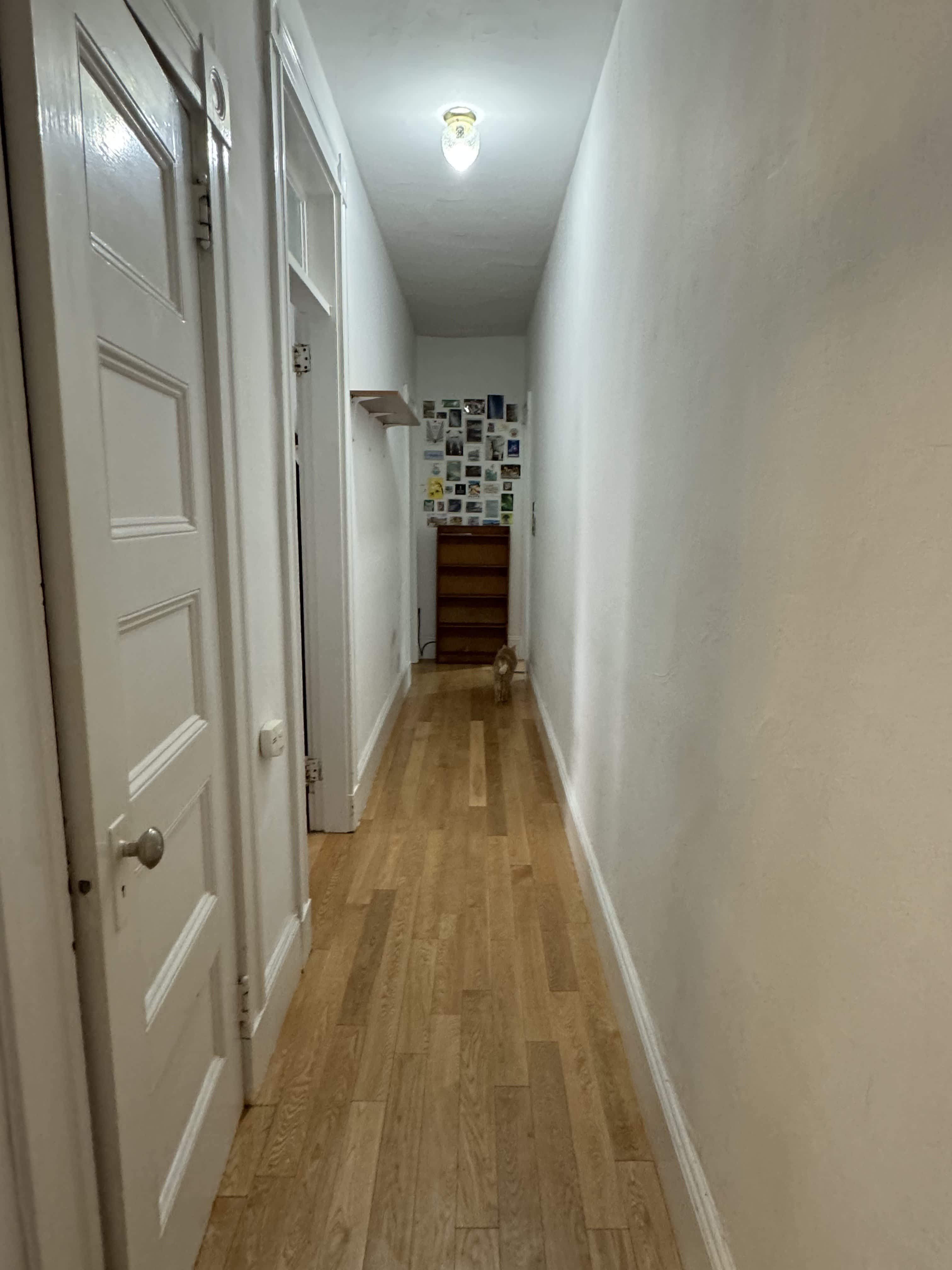 146 Oxford St – photo 4