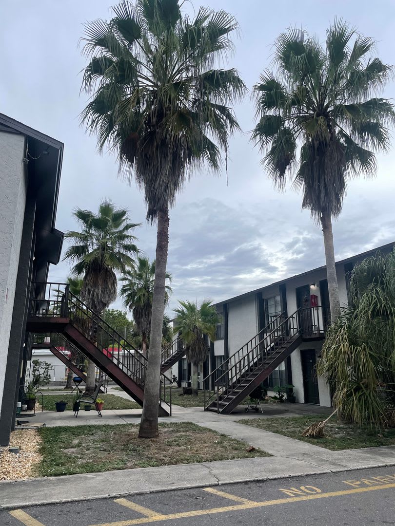 Baywatch Apartments Five Minutes Driving From Usf – photo 2