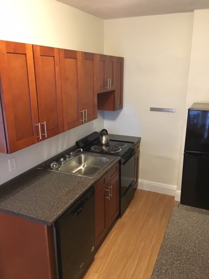 Gorgeous Allston 1 Bed Available 9/1/26 – photo 4